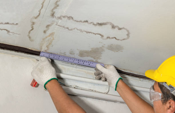 Reliable Water Damage contractor in Rosman, NC by Water Damage Irwin